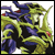 Avatar de DurmarArmardash Avatar de DurmarArmardash