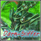 Avatar de Dark-Sliffer